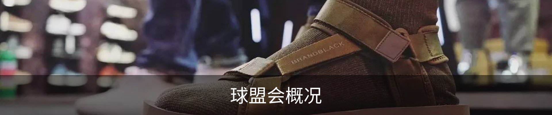球盟会概况